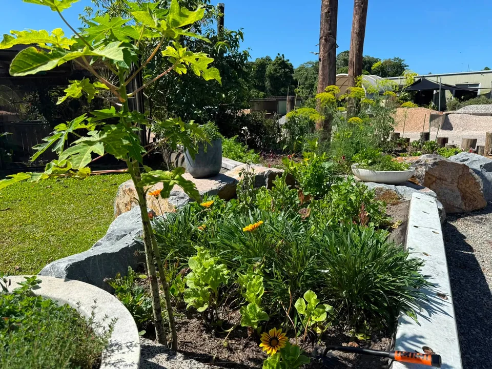 Vegetable gardens and rustic timber features